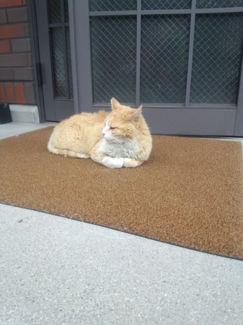 IMG_20140515_142413508