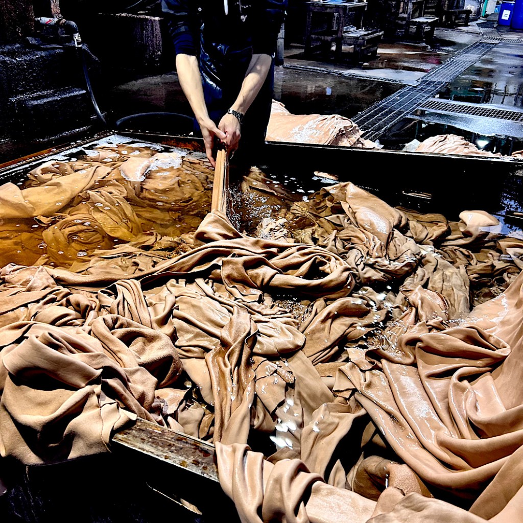 IMG_2024-02-03-224013