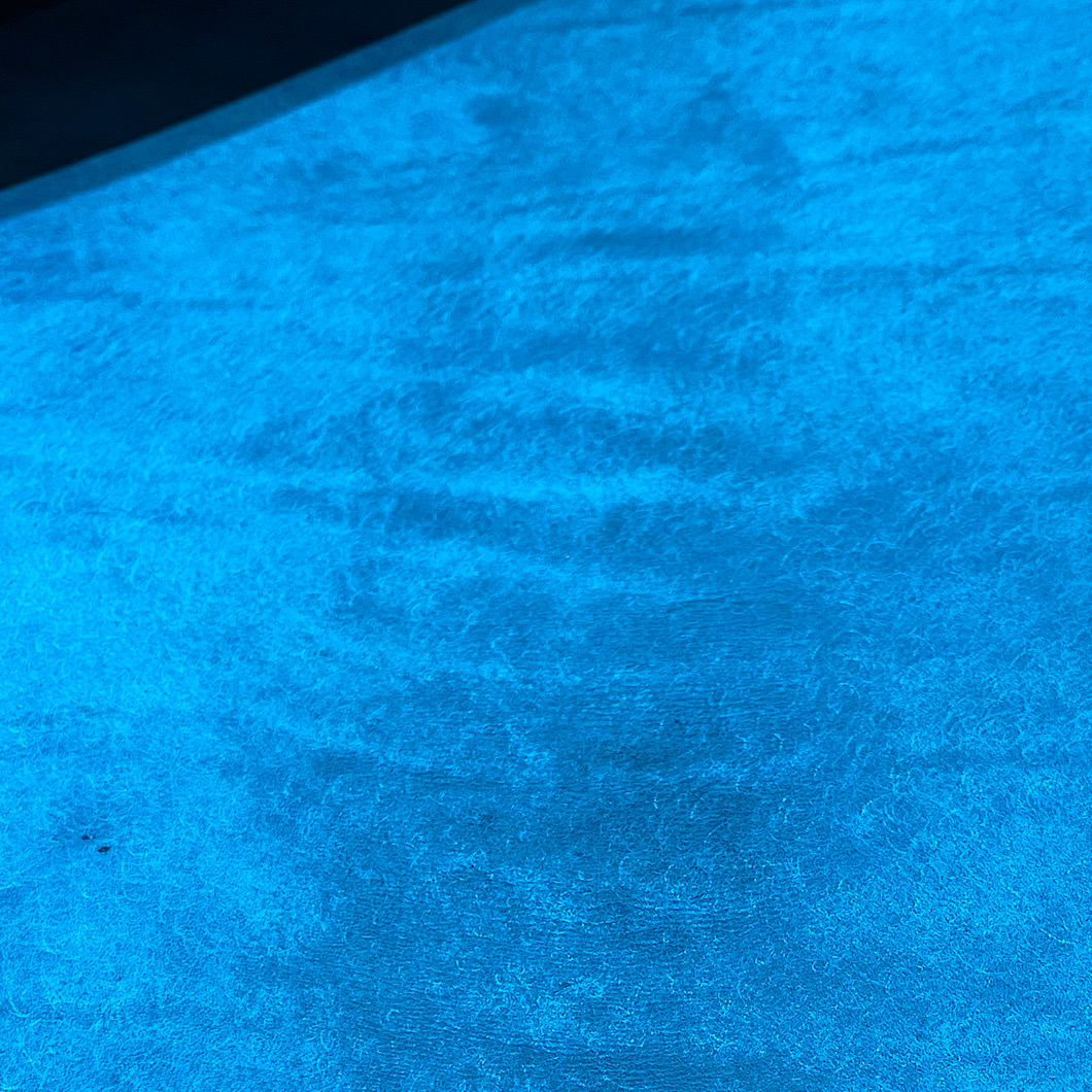 IMG_2025-02-22-094534