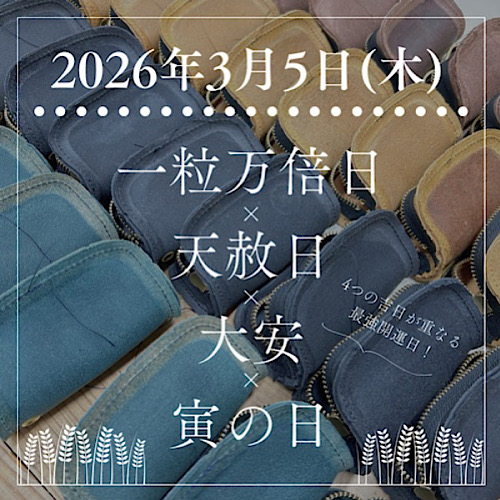 ブログ画像446041