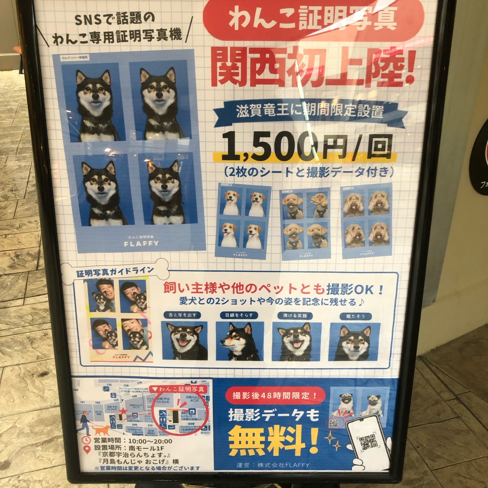 ブログ画像449394